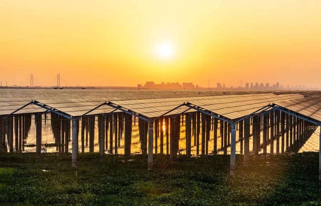 Beyond Success - www.leihuo.com Achieved a Preferred Scale of 1120 MW in Jiangxi